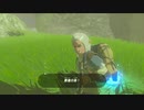 【ゆっくり実況】　ゼルダの伝説BotW　#20