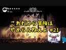 【実況Hollow Knight】この虫の世界、マップ多くない？#21 探索編【ホロウナイト】