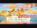 【あつ森】前人未島へようこそ！#167【あつまれどうぶつの森】