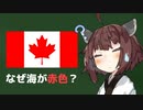 カナダ国旗が赤色で海を表現した理由