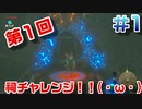 【まったり実況】ゼルダの伝説ブレスザワイルド　祠チャレンジ＃1【ZD】女実況