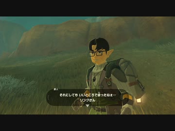 【実況】ハイラルソード　その50