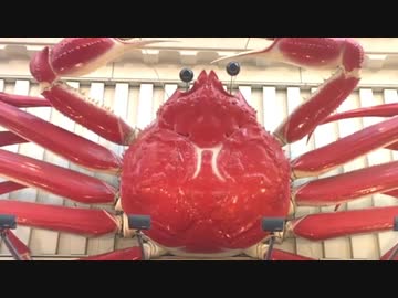 (Ｖ)[ﾟーﾟ](Ｖ)カニベン(Ｖ)[ﾟーﾟ](Ｖ)