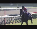 【競馬MAD】時の河【福永祐一】