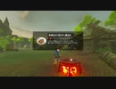wawawaの伝説 ブレスオブアル中