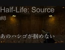 【プレイ Half-Life:Source】8.転落多発箇所《実験を失敗したときの一つの事例》