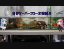 オーバーフロー水槽紹介動画
