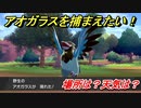 ポケモン剣盾　アオガラスを捕まえる方法！オススメの場所は？天気は？ポケモン図鑑コンプへの道！　【ポケモンソード・シールド】