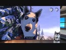 【The_Red_Lantan】かわいい犬とアラスカみてえなところで犬ぞり体験＿03