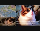 190411110554■1945-1904=39■ORION_20110311