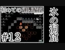 【FC版FF1】シリーズ初プレイ！ファミコン版ファイナルファンタジー！【実況】♯12