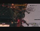 【隻狼(SEKIRO)】苦難厄憑　心中の弦一郎