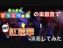 【あつ森演奏】LiSAの紅蓮華をあつ森の音だけで演奏してみた/only with sound of Animal Crossing【Demon Slayer】