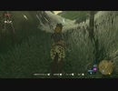 【ゆっくり実況】　ゼルダの伝説BotW　#21