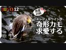 1112【奇形カルガモが求愛ダンス】カモの喧嘩に悲劇の脚怪我ムクドリ水浴び、ヒドリガモのエクリプス、ツグミ、ハトの幼鳥、ジョウビタキオスメス【 #今日撮り野鳥動画まとめ 】 #身近な生き物語