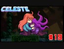なぜ山に登るのか #19【Celeste】