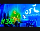 【＃38】Ori and the Will of the Wisps 【じっくりと実況】