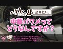 ヘタレうさぎは語りたい　～中華パワーメータってどうなんですか？～