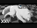 一番危惧していた事が起きてしまった……。【CRYSTAR】XXV