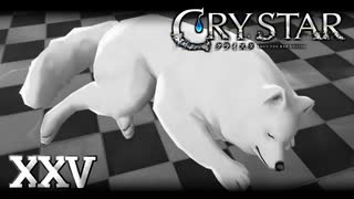 一番危惧していた事が起きてしまった……。【CRYSTAR】XXV