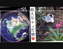 Memo:_φ(･_･ ;) 災害前に戻りつつある2020年11月の千葉県(3)