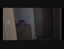 日中肉眼で見える光電子やイオン