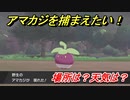 ポケモン剣盾　アマカジを捕まえる方法！オススメの場所は？天気は？ポケモン図鑑コンプへの道！　【ポケモンソード・シールド】