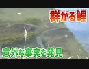 【鯉釣り】目で見る吸い込み（ぶっこみ）釣り