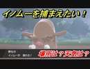 ポケモン剣盾　イノムーを捕まえる方法！オススメの場所は？天気は？ポケモン図鑑コンプへの道！　【ポケモンソード・シールド】