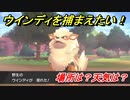 ポケモン剣盾　ウインディを捕まえる方法！オススメの場所は？天気は？ポケモン図鑑コンプへの道！　【ポケモンソード・シールド】