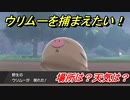 ポケモン剣盾　ウリムーを捕まえる方法！オススメの場所は？天気は？ポケモン図鑑コンプへの道！　【ポケモンソード・シールド】