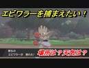 ポケモン剣盾　エビワラーを捕まえる方法！オススメの場所は？天気は？ポケモン図鑑コンプへの道！　【ポケモンソード・シールド】