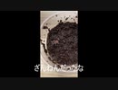 【チャコジャイ】タランチュラ飼育日記その１【ってなんじゃい】