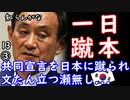 Ｋ民フルボッコ...　【江戸川 media lab HUB】お笑い･面白い･楽しい･真面目な海外時事知的エンタメ