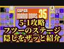 マリオ35解説攻略：5-1普通のステージ。隠しだけ把握しておこう【スーパーマリオブラザーズSUPER MARIO BROSバトロワ】