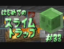 ドキッ！初心者だらけのマインクラフト【2人実況】part33