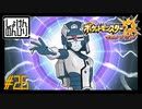 【第26話】ポケモンUS虫贔屓実況【恐怖！メレメレの花園】