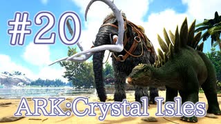 【ARK Crystal Isles】TLC3で調整されたマンモスとステゴサウルスに乗ってみる！【Part20】【実況】