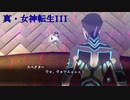 【真・女神転生III】スペクター戦の足跡