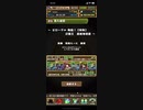 【パズドラ】ゼローグ∞降臨超絶地獄級 ソロ周回編成