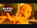 Switch新作『ゼルダ無双 厄災の黙示録』TVCM【ロングバージョン】