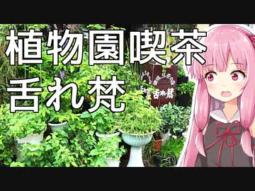 琴葉姉妹の大阪を食べようPart10「植物園喫茶 舌れ梵（とれぼん）」