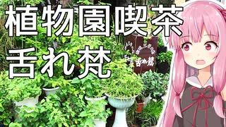 琴葉姉妹の大阪を食べようPart10「植物園喫茶 舌れ梵（とれぼん）」