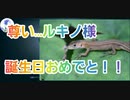 【第五人格】Q戦慄の竜巻 尊い...ルキノ様♪誕生日おめでと！！【呪術師】【囚人ルカ】【傭兵ナワーブ】【探鉱者ノートン】【IdentityV】【第5人格】【dbd】