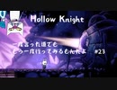 【実況Hollow Knight】この虫の世界、たぶん謎解けないや #23 探索＆夢見の戦士編【ホロウナイト】