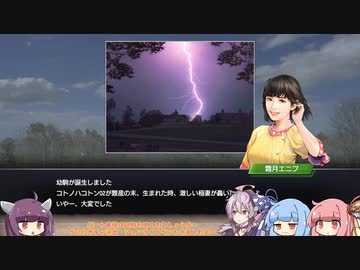 【VOICEROID実況】コトノハウイポ！パート４９【ウイニングポスト9　2020】