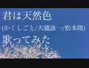 【れみ】君は天然色/大瀧詠一/かくしごと【歌ってみた】