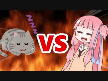 茜ちゃんVSねこちゃん