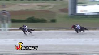 第61回東海菊花賞 タガノジーニアス