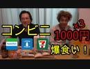 【1000円企画】コンビニ3つで爆買いしてみた！【いまさらトライチャンネル#119